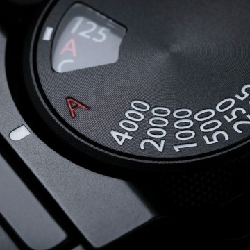 the weekly photo challenge